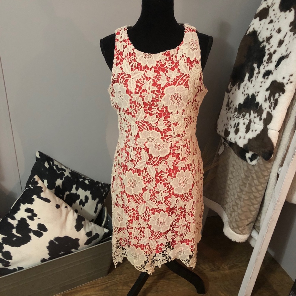 coral and cream lace boutique dress